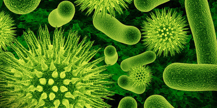 antibiotic-resistant-bacteria